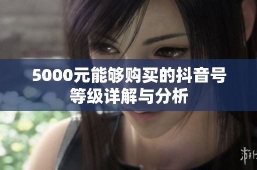 5000元能够购买的抖音号等级详解与分析